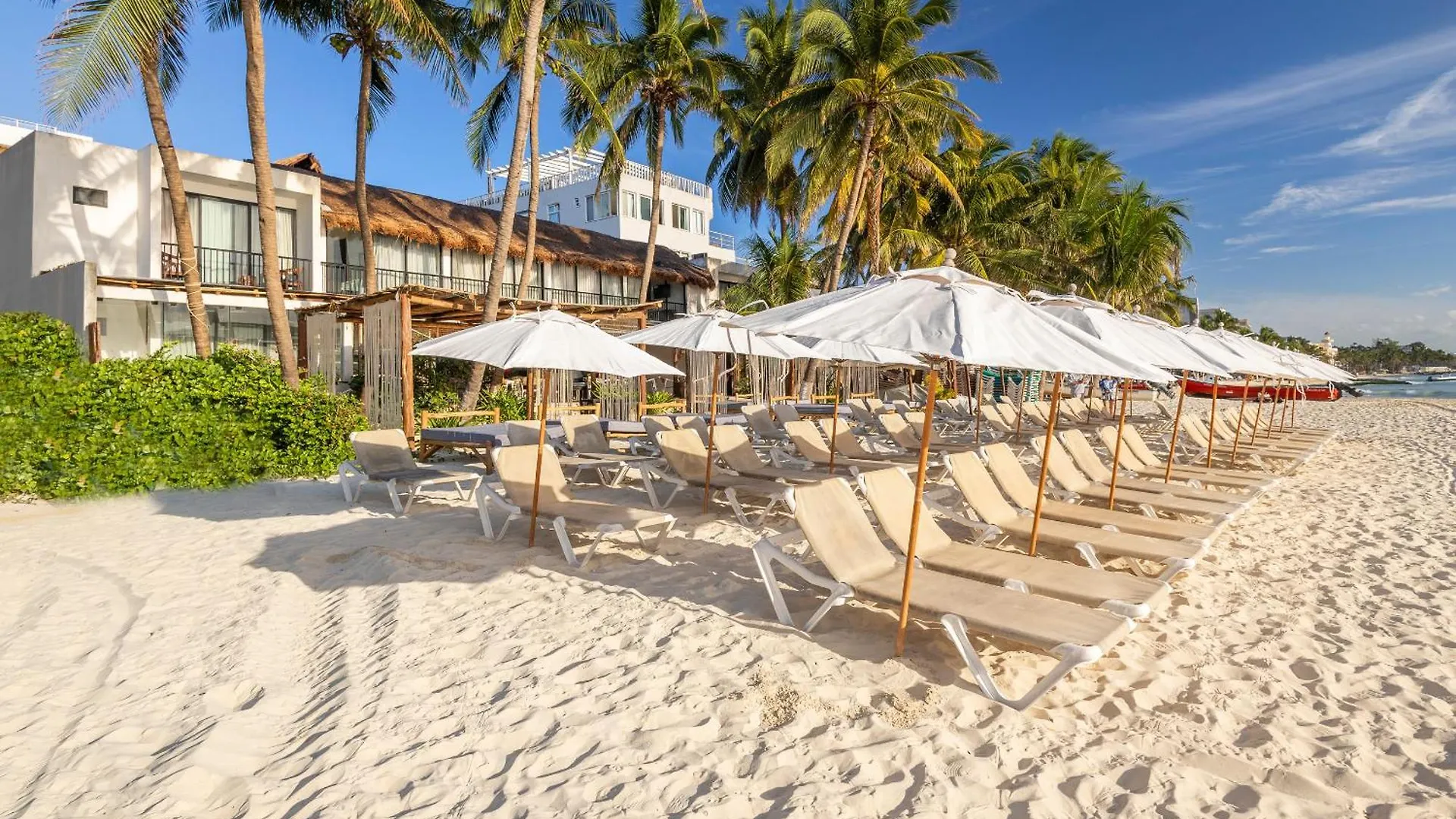 Areia Playa Del Carmen - Beach Front Hotel Boutique